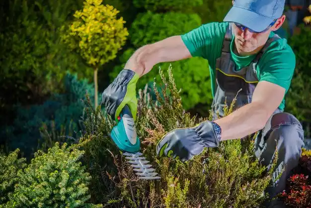 landscaping services Freeman